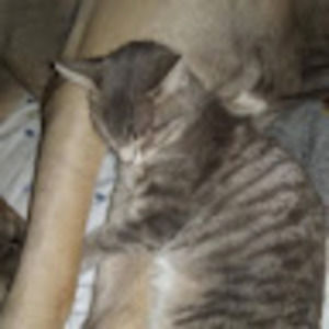 Meet your Posher, Murray